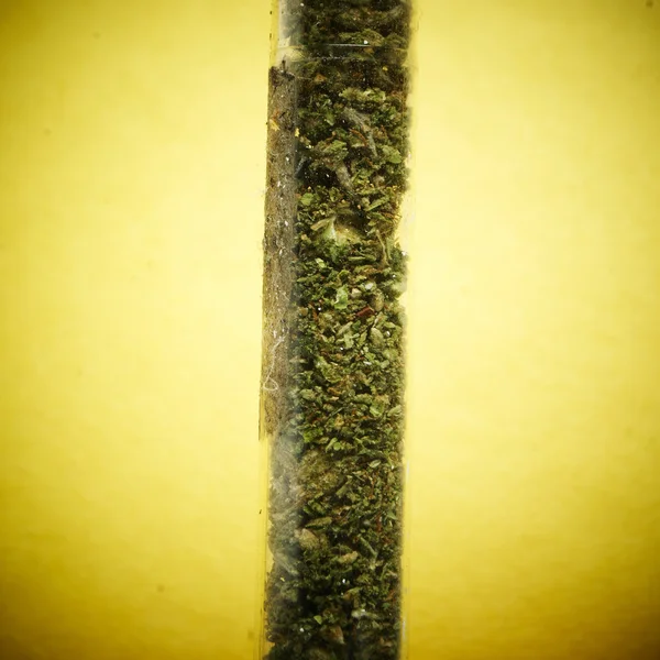 Maconha Legal Bud Cannabis Pot ou erva daninha — Fotografia de Stock