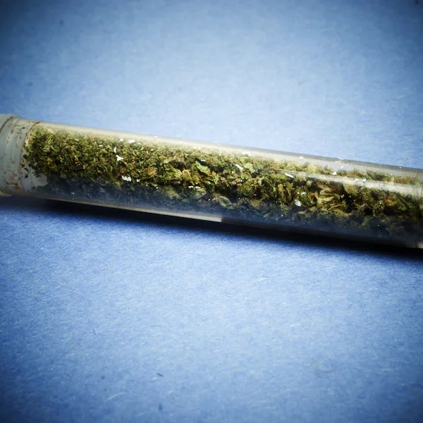 Jogi marihuána Bud Cannabis Pot vagy a gyom — Stock Fotó
