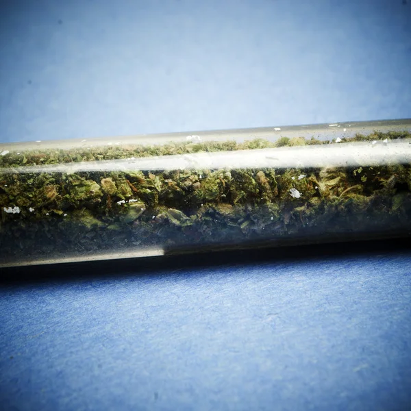 Νομική μαριχουάνα οφθαλμό κάνναβης δοχείο ή ζιζανίων — Φωτογραφία Αρχείου