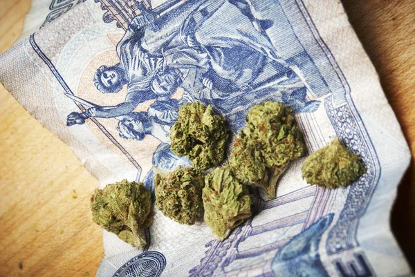 Marihuana en geld — Stockfoto