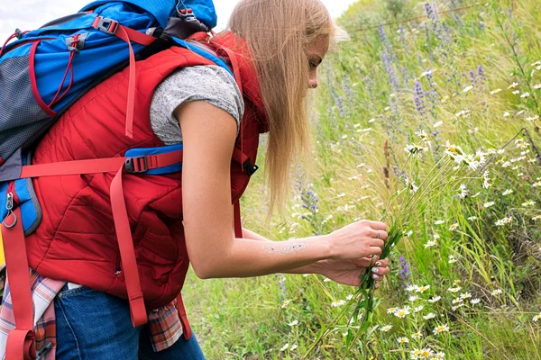 Θηλυκό backpacker μαζεύοντας αγριολούλουδα — Φωτογραφία Αρχείου