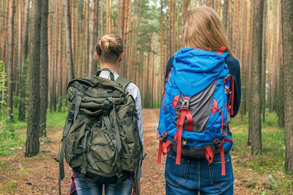 Bakifrån av två flickvänner med ryggsäckar i skogen — Stockfoto