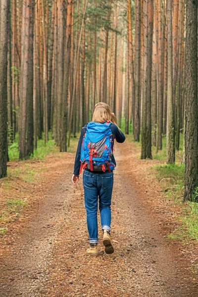 Viaggiatore irriconoscibile con zaino che cammina nella foresta Foto Stock