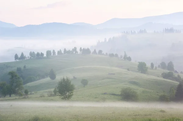 森や山のシルエットと霧の日の出。暖かい夏の自然背景. — ストック写真