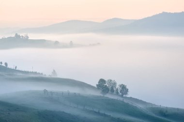 Orman ve dağ siluetleriyle sisli bir gün doğumu. Sıcak yaz doğası geçmişi. Ukrayna 'daki Karpat dağlarından birinin yakınlarında yakalandı..
