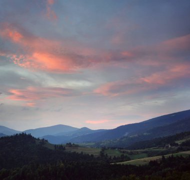 Kırsal dağ manzarası. Karpat Dağları, Avrupa ve Ukrayna 'daki yeşil çayır ve tepelerin güzel manzarası. Yüksek çözünürlüklü panorama.