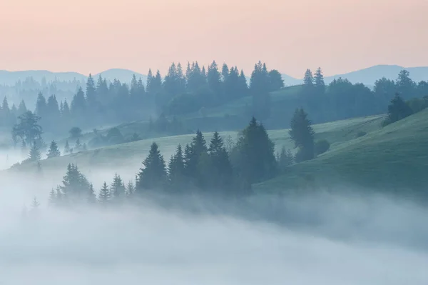 森や山のシルエットと霧の日の出 暖かい夏の自然背景 カルパティア山脈の村の1つ近くで撮影された ウクライナ — ストック写真