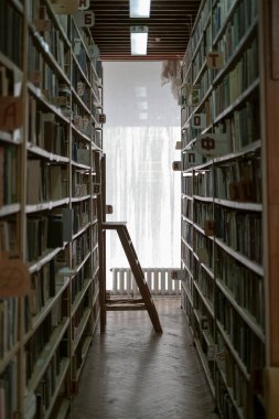 Old Library Bookshelf Corridor Perspective Books Shelf Collection Literature