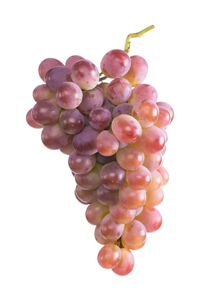 Bunch of ripe pink grapes. isolate — Stock Photo, Image