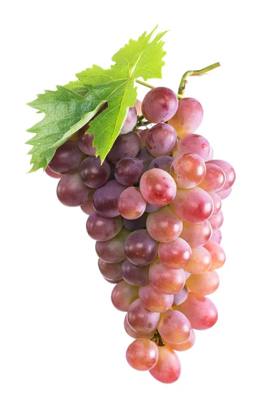 Bunch of ripe pink grapes. isolate — Stock Photo, Image