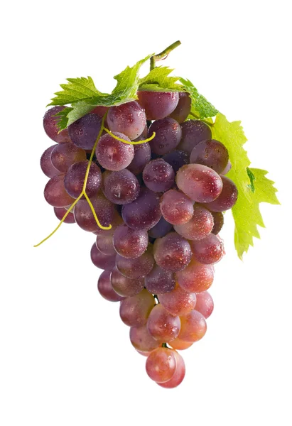 Bunch of ripe pink grapes. isolate — Stock Photo, Image