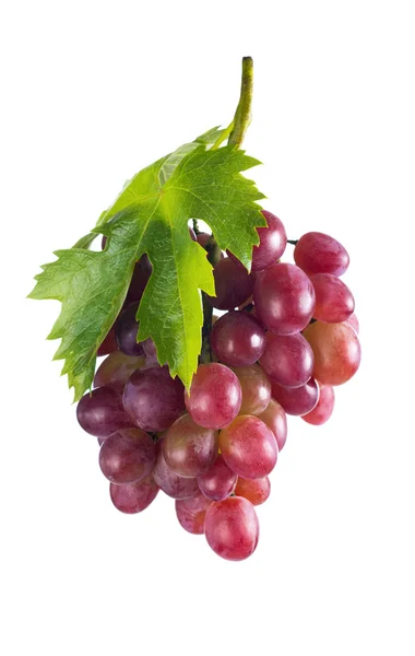 Bunch of ripe pink grapes. isolate — Stock Photo, Image
