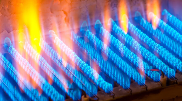 The fire burns from a gas burner. Blue flame when burning gas.