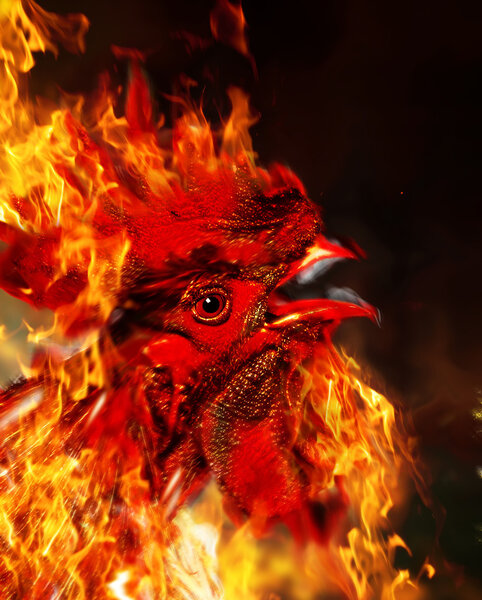 Red Rooster of fire. Symbol of fire.