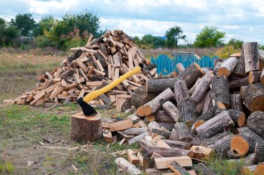 Doğranmış ahşap çit yakınındaki.