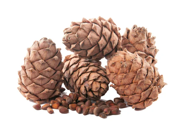 Pine cone pine nut. isolated, — Stock Photo, Image