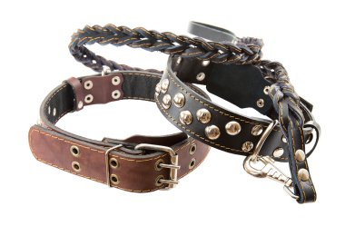 Leather collar for dogs with metal rivets. Isolated. clipart