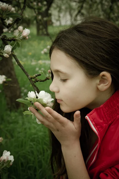 Girl sniffs apple blossoms — Stock Photo, Image