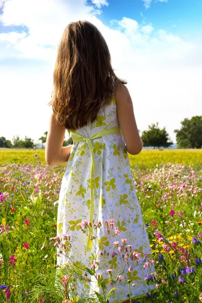 Flicka i fält av blommor — Stockfoto