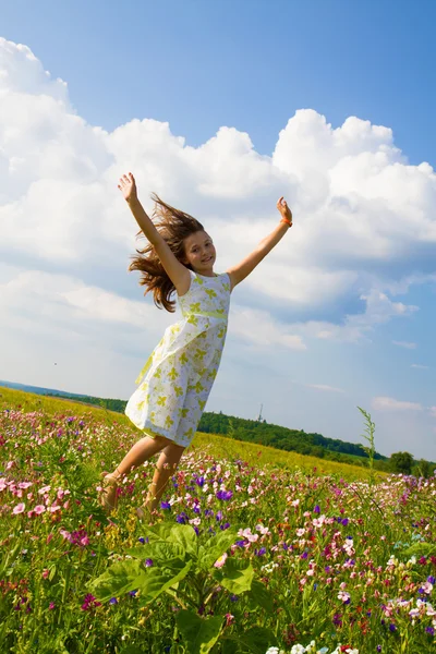 Vliegen in de natuur — Stockfoto