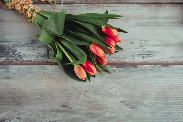 Tulips on grunge background — Stock Photo, Image