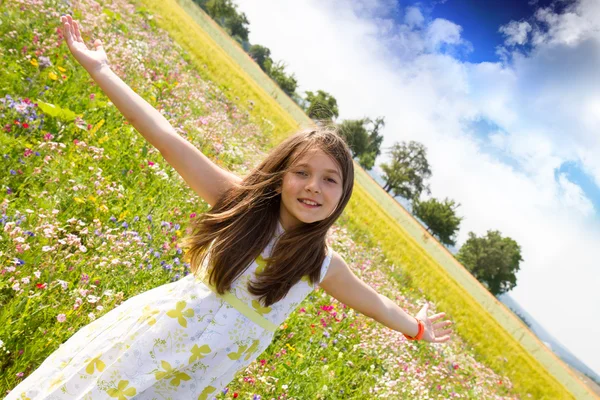 Fun in the field — Stock Photo, Image