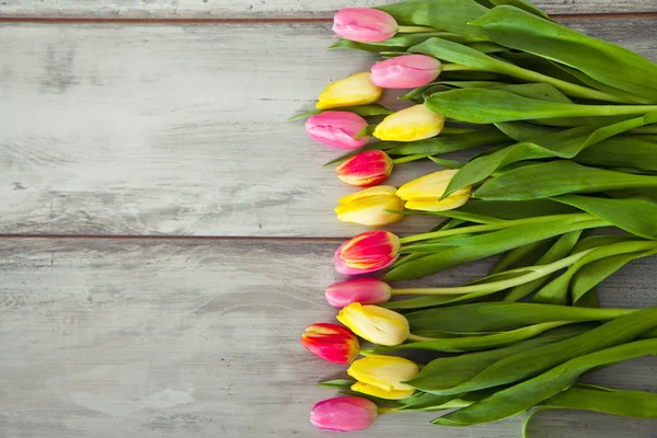 Colorful tulips on the wood — Stock Photo, Image