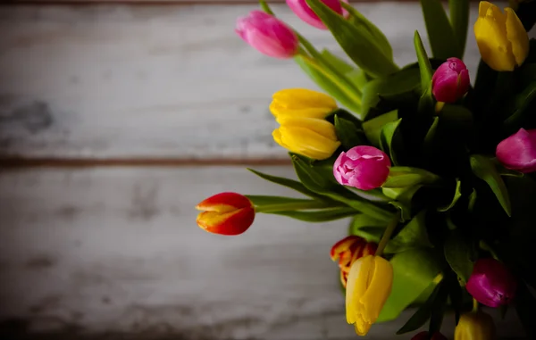 Tulipanes coloridos sobre un fondo oscuro — Foto de Stock