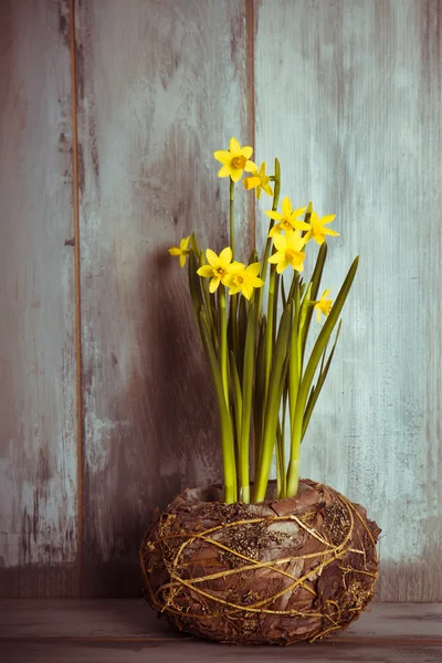 Yellow daffodils on wood — Stock Photo, Image
