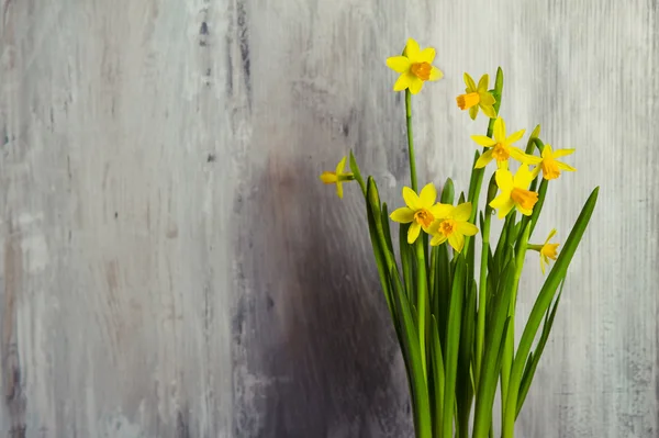 Daffodils on the wood background — Stock Photo, Image