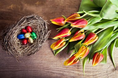 Lale ve çikolata yumurta yuvada