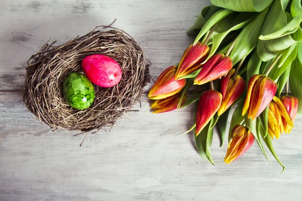 Huevos coloridos en el nido — Foto de Stock
