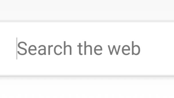 Zoeken Wat Mijn Het Scherm Van Zoekbalk Online Netwerk Website — Stockvideo
