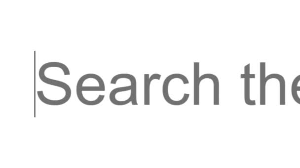 検索バー画面でインフレを検索するビュー オンラインネットワークウェブサイト検索ボックス コンピュータ上の世界的なWebインターネット上でお金の通貨購買力を検索します モニター画面の検索エンジンボックスビューポイントへの入力閉じる — ストック動画
