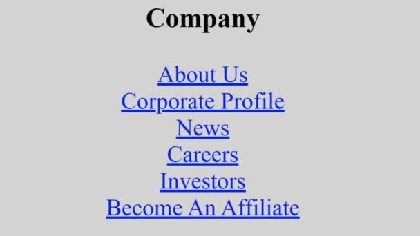 Mouse Cursor Slides Clicks Investors Company Web Page Device Screen — Stock Video