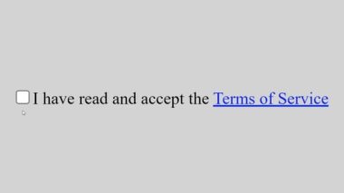 Fare imleci web sayfasında hizmet koşullarını okuyup kabul ettiğim kutucuğu işaretliyor. İmleç Seçimi Online Aygıt Ekran Görünümü İnternet Ağı üzerinden Bakış Ağı Web Sitesi.