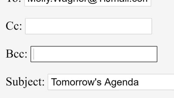 Introducir Dirección Correo Electrónico Bcc Online Box Copia Carbono Ciego — Vídeo de stock