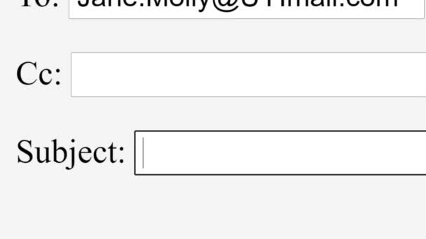 Het Invoeren Van Email Subject Onderwerp Support Help Online Box — Stockvideo