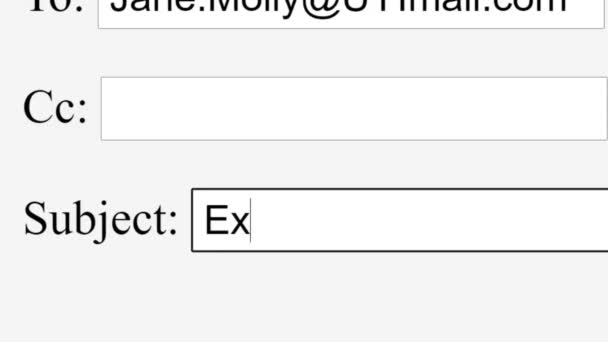 Entrando Email Assunto Assunto Exclusive Deal Online Box Enviar Desconto — Vídeo de Stock