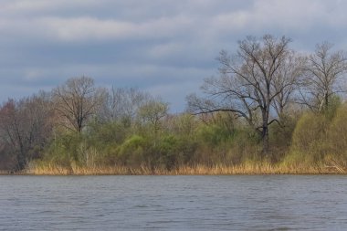 Bahar, nehir, nehrin ötesindeki sahil, tam çiçeklenmemiş ağaçlar, kurak bulutlardaki gökyüzü..