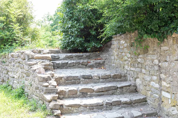 Old Staircase Made Stone Overgrown Bushes Collapsed Time — Stock Photo, Image