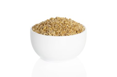 Pearl arpa tohumu bir fincan