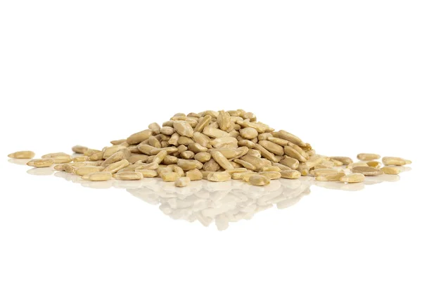 Pile of sunflower seeds — Stock Photo, Image