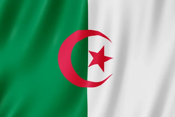 Algeriets Flagga Viftar Vinden — Stockfoto