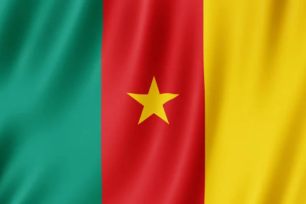 喀麦隆国旗在风中飘扬 — 图库照片