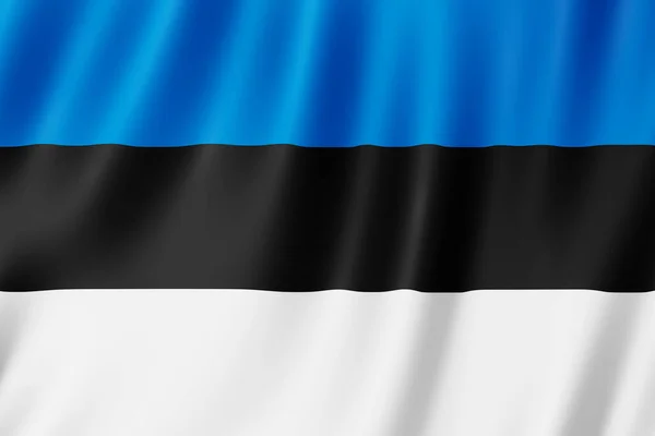 Estonská Vlajka Vlající Větru — Stock fotografie