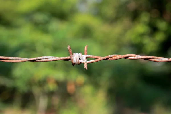 dikenli tel vintage bir görünüm ile yakın çekim