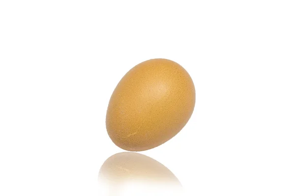Beyaz arkaplanda bir yumurta
