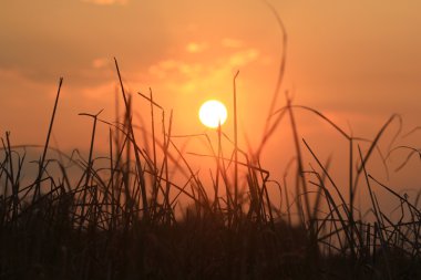 Sıcak dağlar günbatımı turuncu gökyüzü ile
