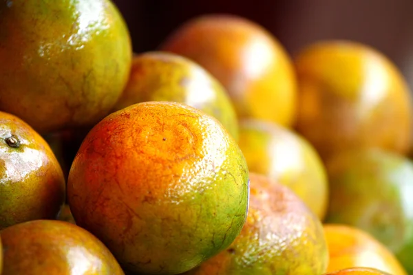 Oranges of biological cultivation — Stock Photo, Image